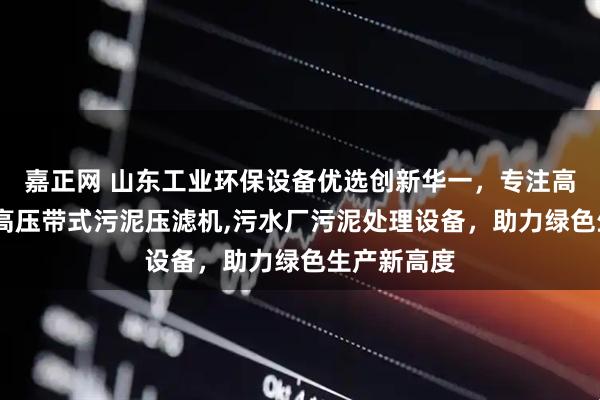 嘉正网 山东工业环保设备优选创新华一，专注高压压滤机,高压带式污泥压滤机,污水厂污泥处理设备，助力绿色生产新高度