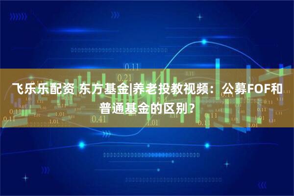 飞乐乐配资 东方基金|养老投教视频：公募FOF和普通基金的区别？