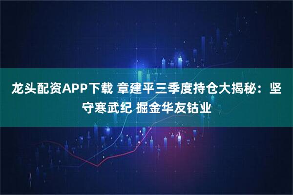 龙头配资APP下载 章建平三季度持仓大揭秘：坚守寒武纪 掘金华友钴业